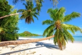 Leitfaden für den Urlaub auf den Seychellen