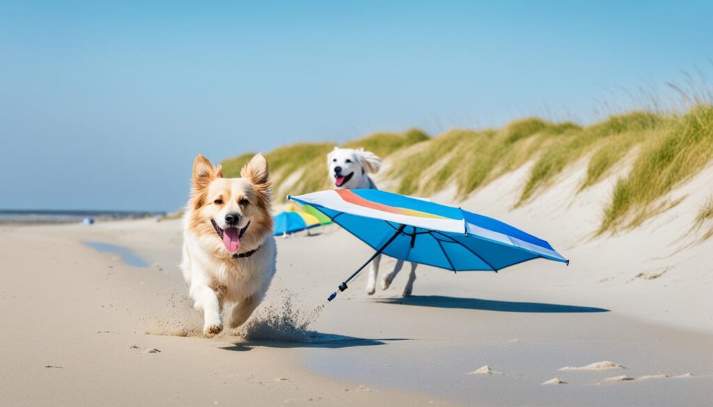 Langeoog Strand mit Hund