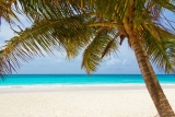 Karibische Inseln der “Himmel auf Erden”